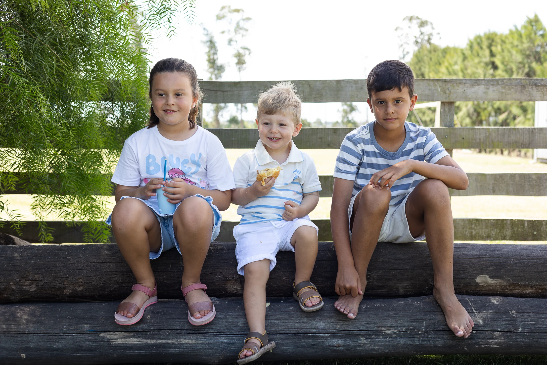 Alfonso, fotografía 12 de 32